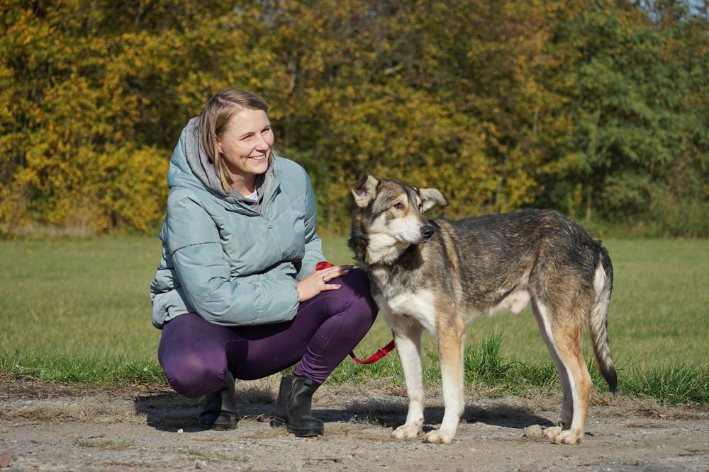 Azor - zagłodzony psiak potrzebuje domu - pomagamy w transporcie