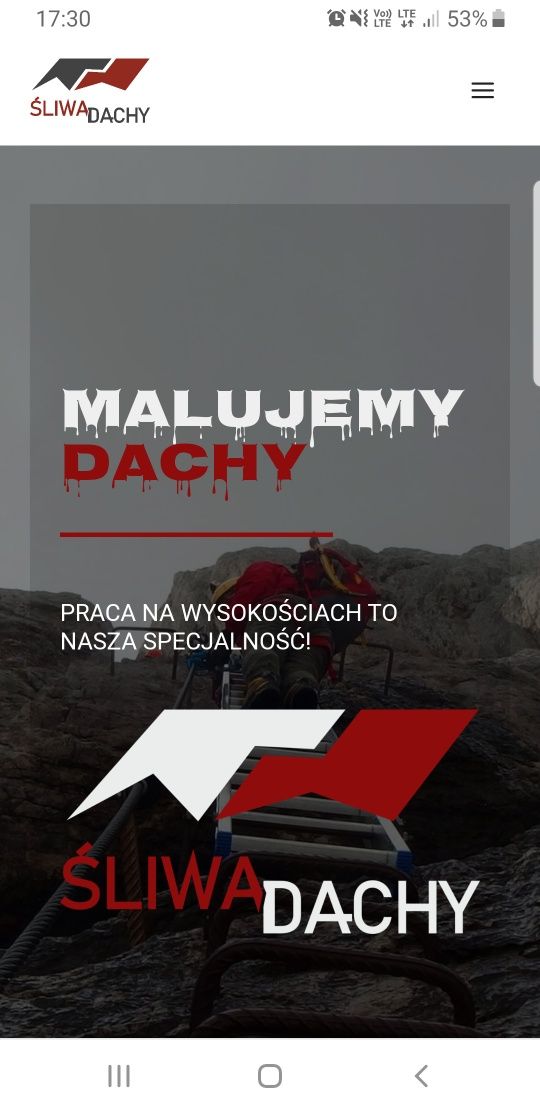 Malowanie dachów,  wymiana rynien , usługi dekarskie