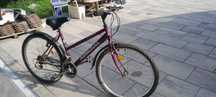 Rower damski Mieski