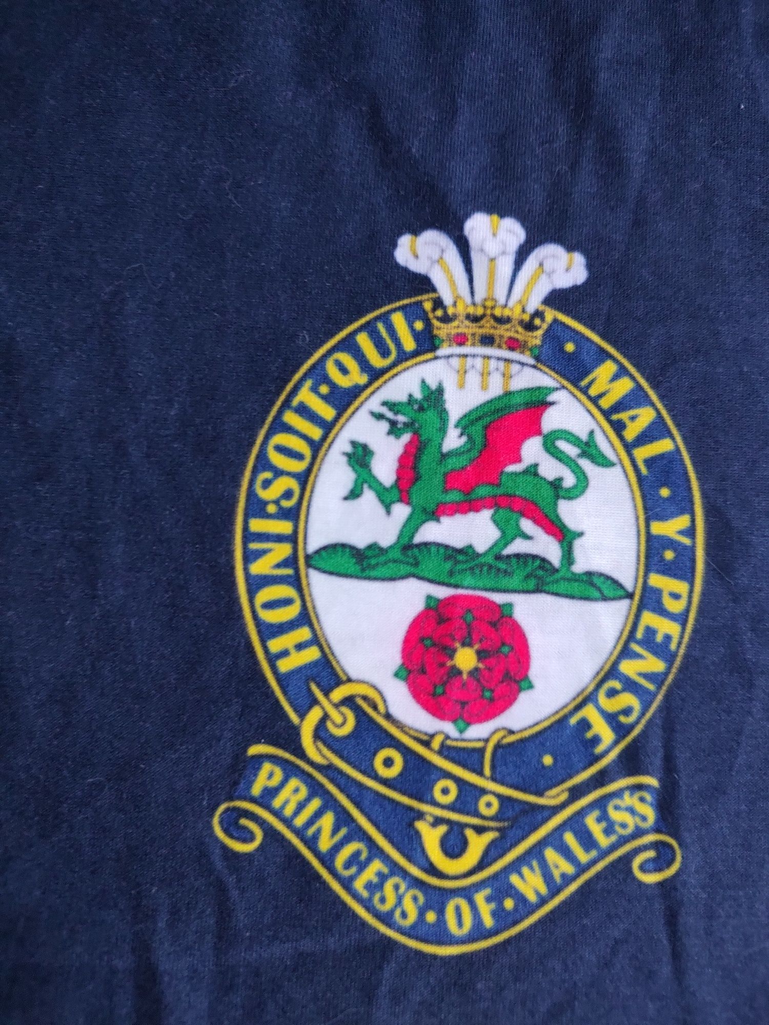 Koszulka t-shirt męski militarna The Princess of Wales's Royal Regimen