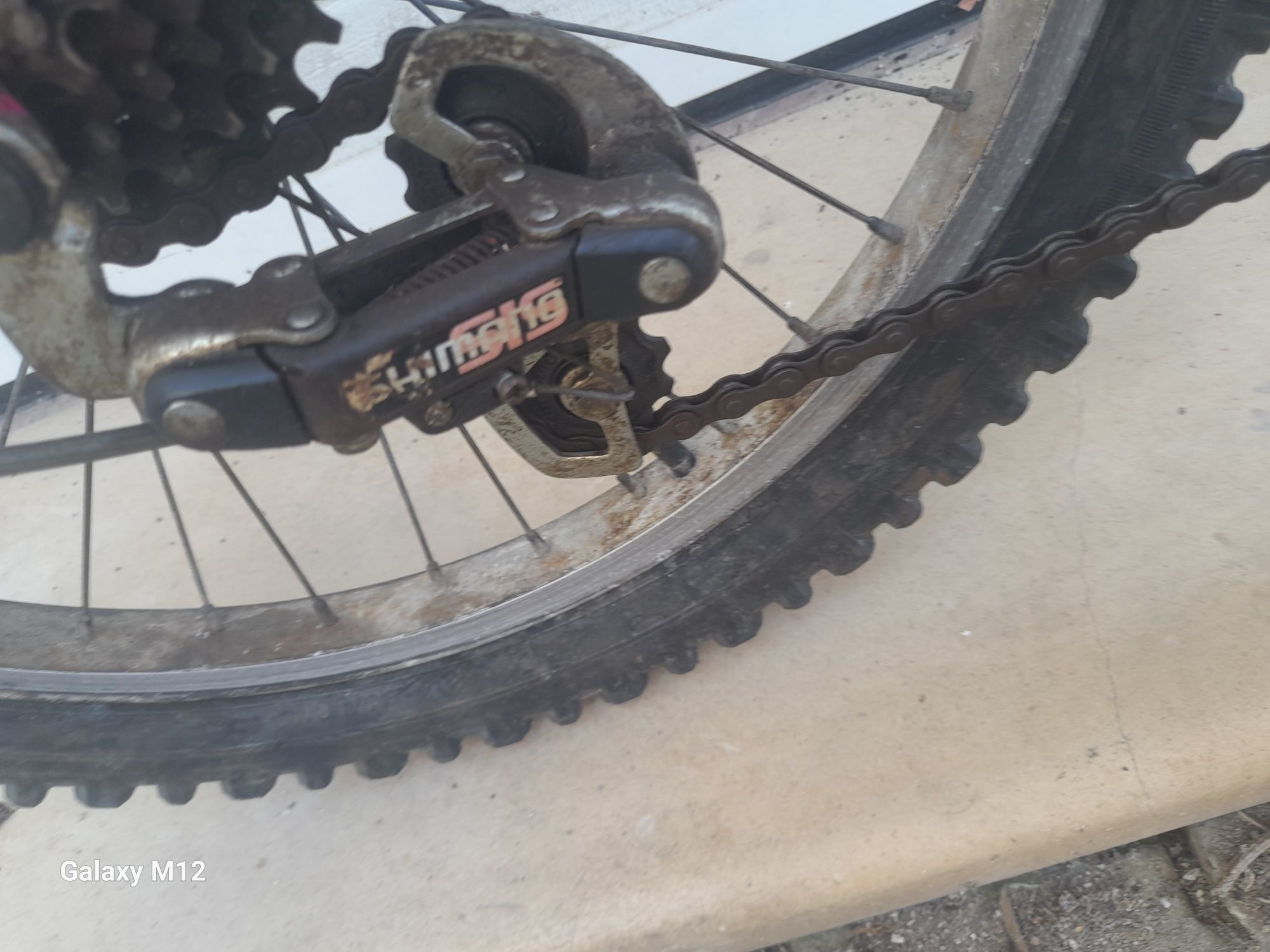 Bicicleta antiga