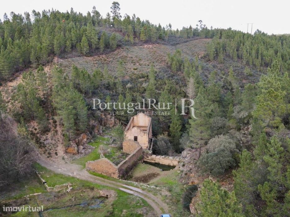 Antigo Lagar com 5,7 hectares