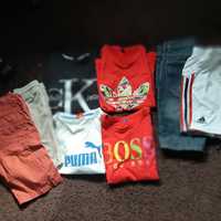 T-shirty i spodenki  Adidas