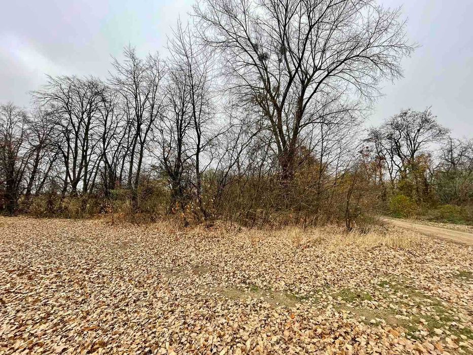 Продається земельна ділянка в с. Іванівка 7811