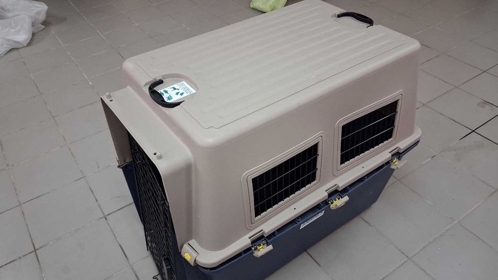 Caixa de transporte de animais XL - Tamanho 7 IATA