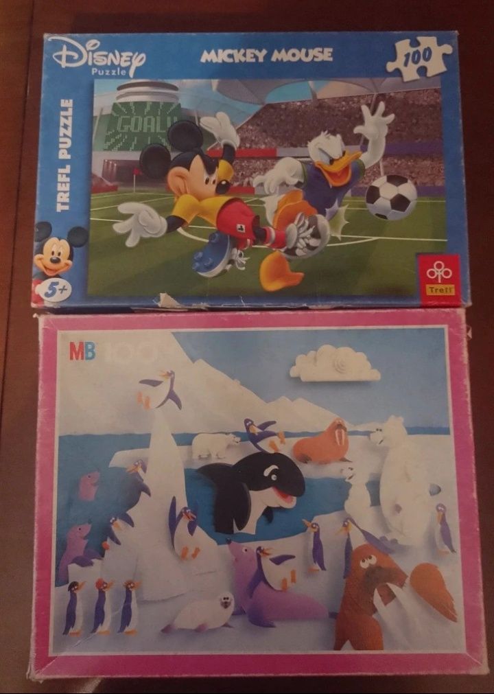 Puzzle 100 elementów