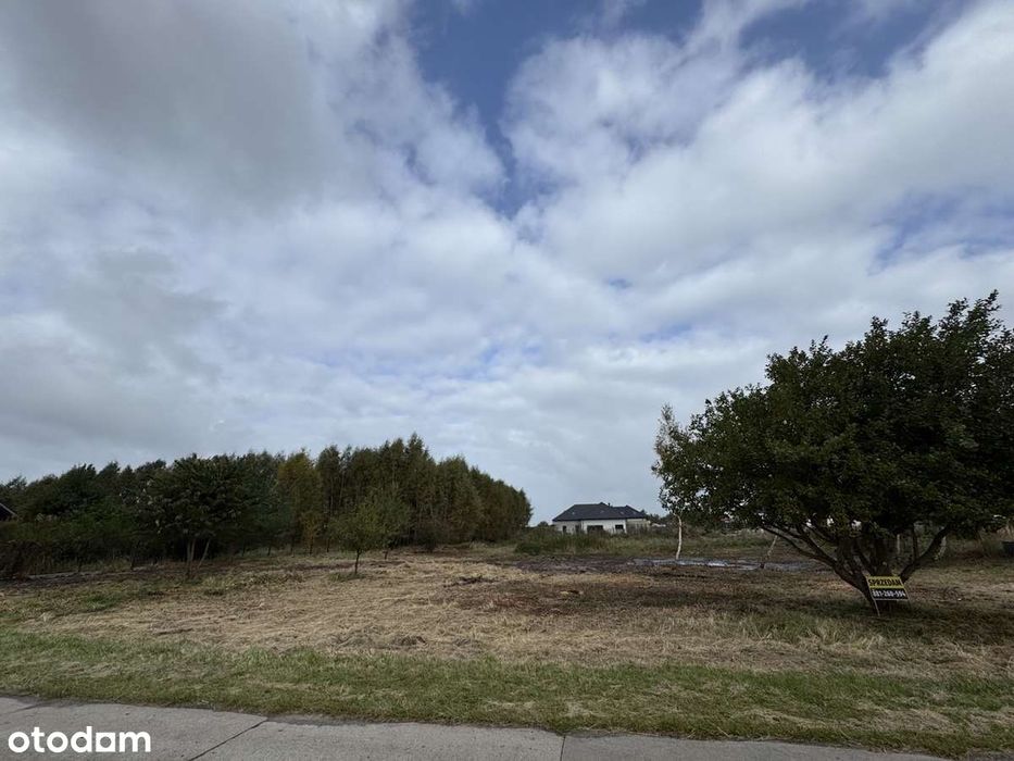Duża działka budowlana w Zieleniewie