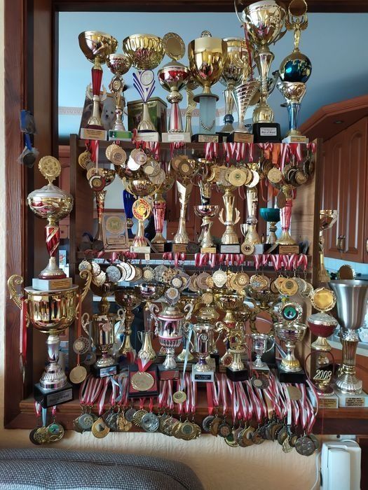 ZkwP /FCI z metryką Biewer Yorkshire terrier, i samczyk .