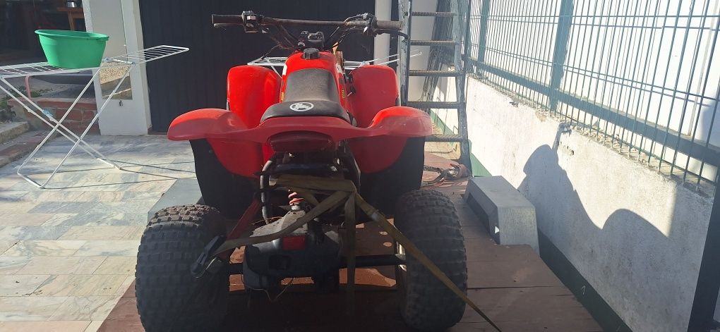 Polaris scrambler 50