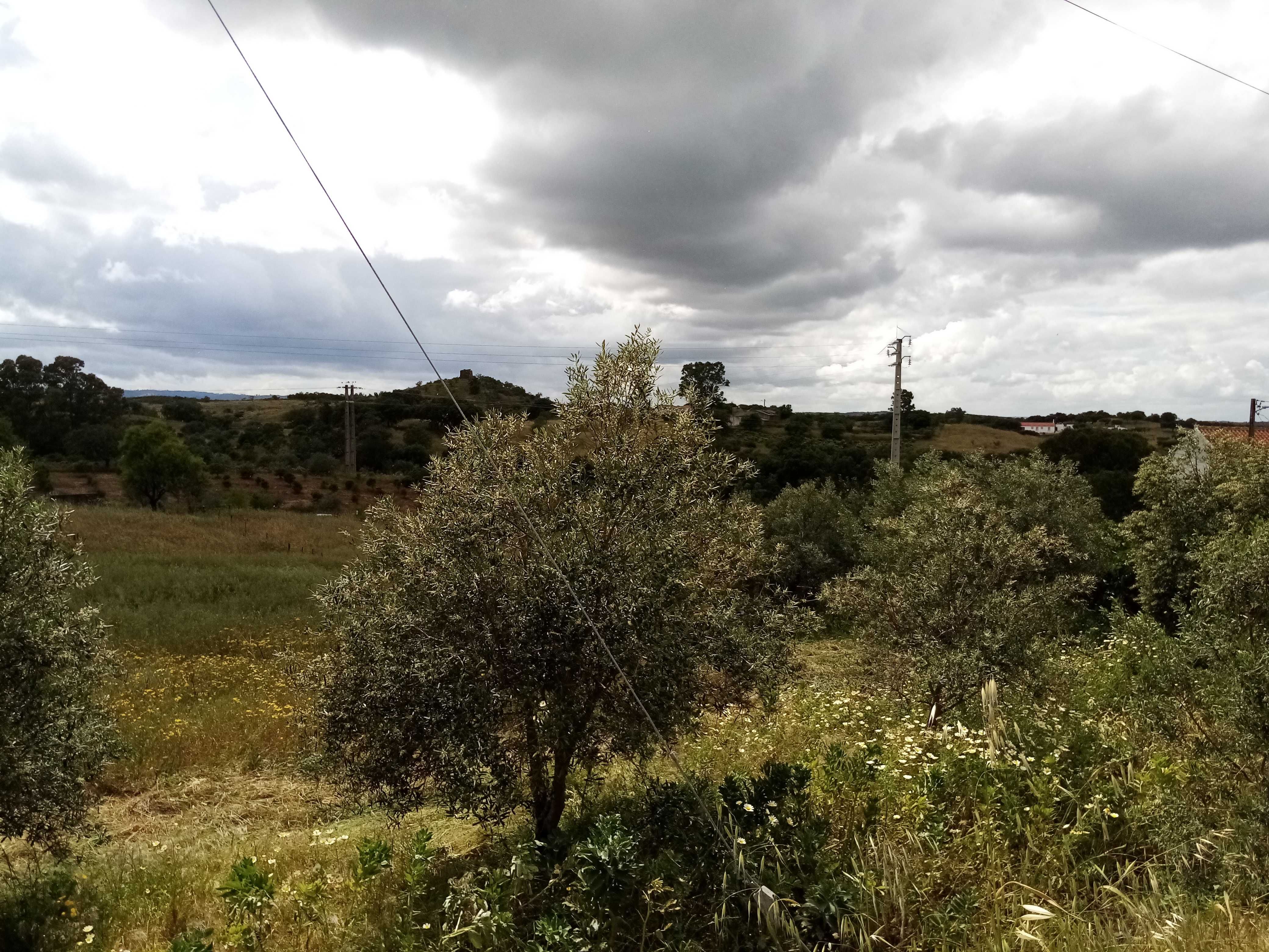 Vende-se terreno com barragem junto à estrada em Corte Serrano, 5456m2