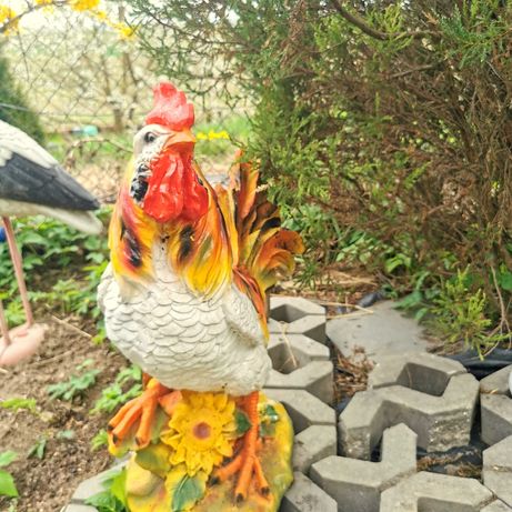 Kogut figura ogrodowa  (kury kurczaki)