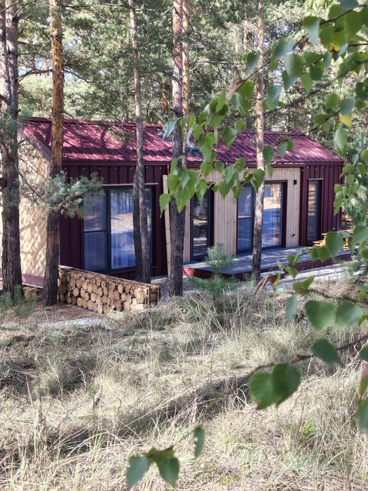 Здається подобово будиночок у лісі