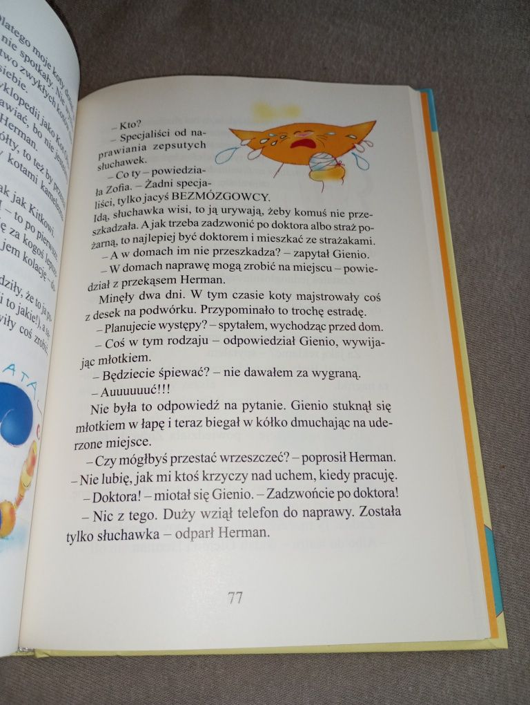 Tomasz Trojanowski kocie historie