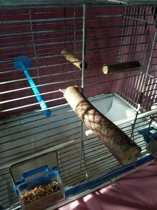 Żerdzie do pielęgnacji dzioba i pazurków. Żerdzie dla ptaków 2 szt.