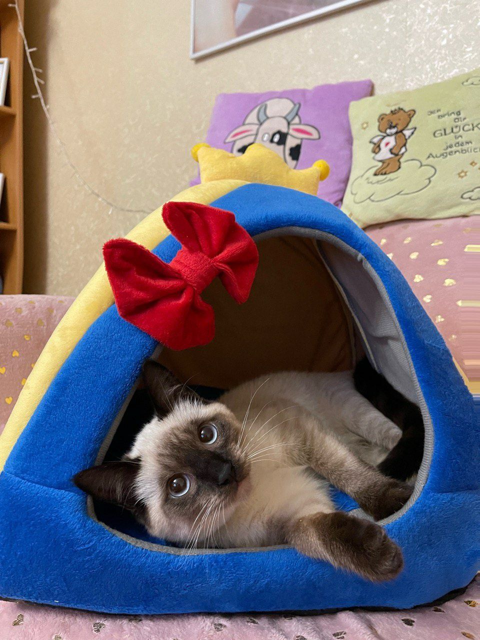Домик для собаки кота патриотический