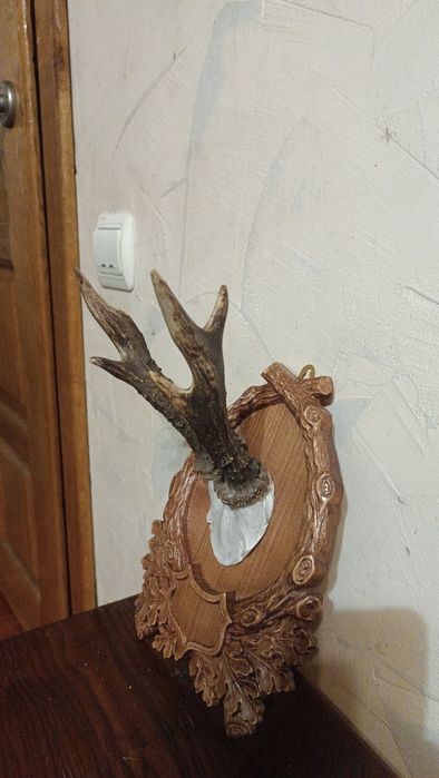 Роги козулі на підставці