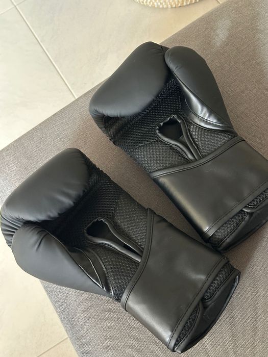 Luvas everlast tamanho 10