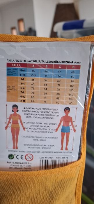 Fatos de carnaval piloto/hospedeira