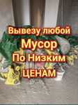 Вывоз мусора Вывоз мебели Вывоз с грузчиками