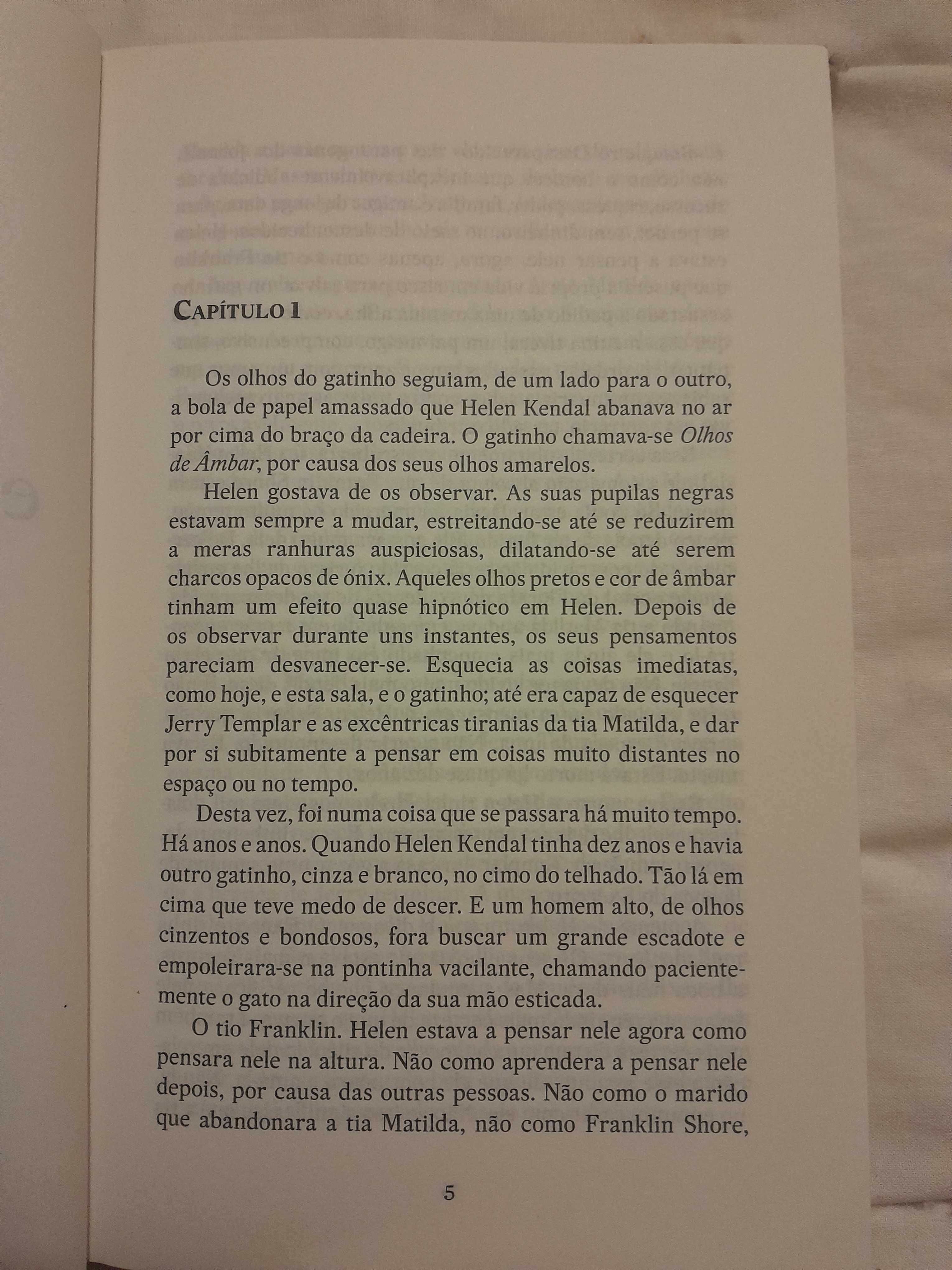 Perry Mason e O Caso do Gato Distraído