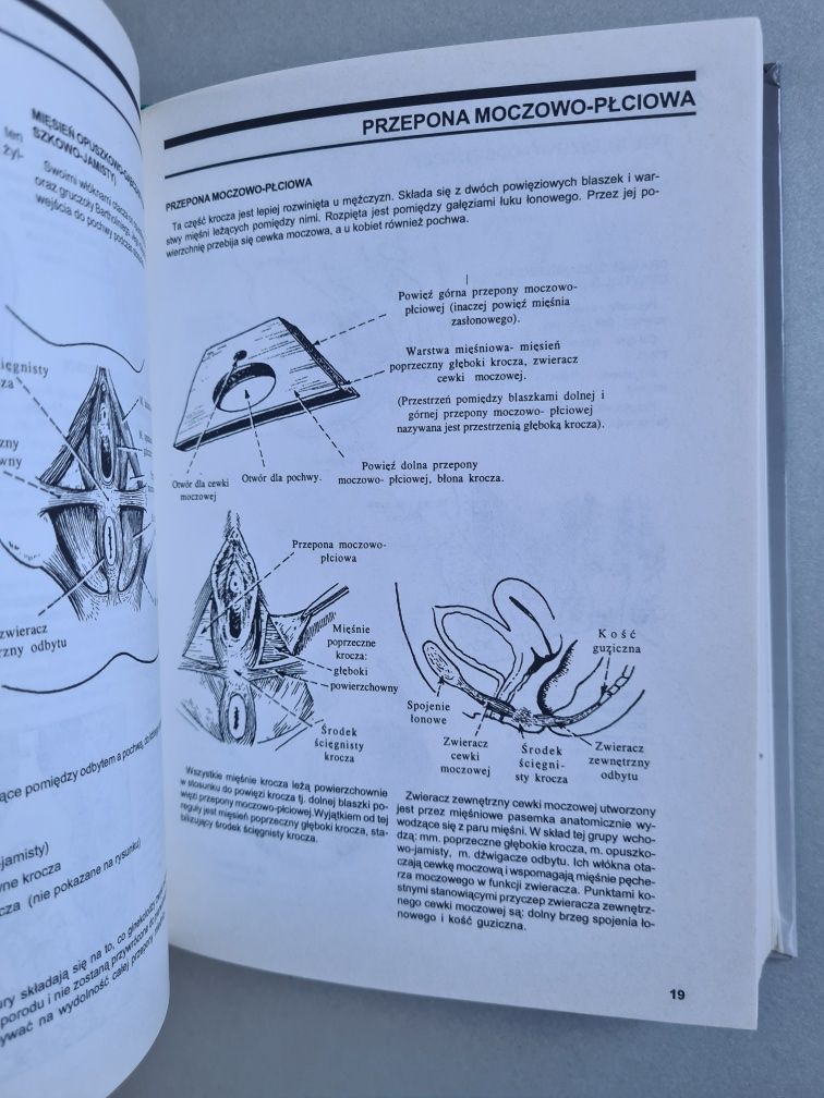 Ginekologia ilustrowana - Govan Hart Callander