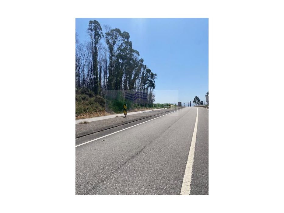 Terrno Na Zi De Sever Do Vouga