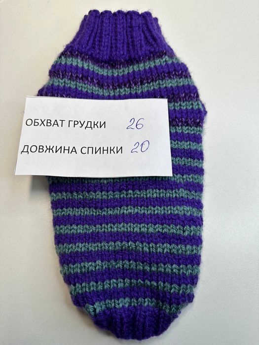 светри на маленьке цуценя щенка чихуахуа йорка