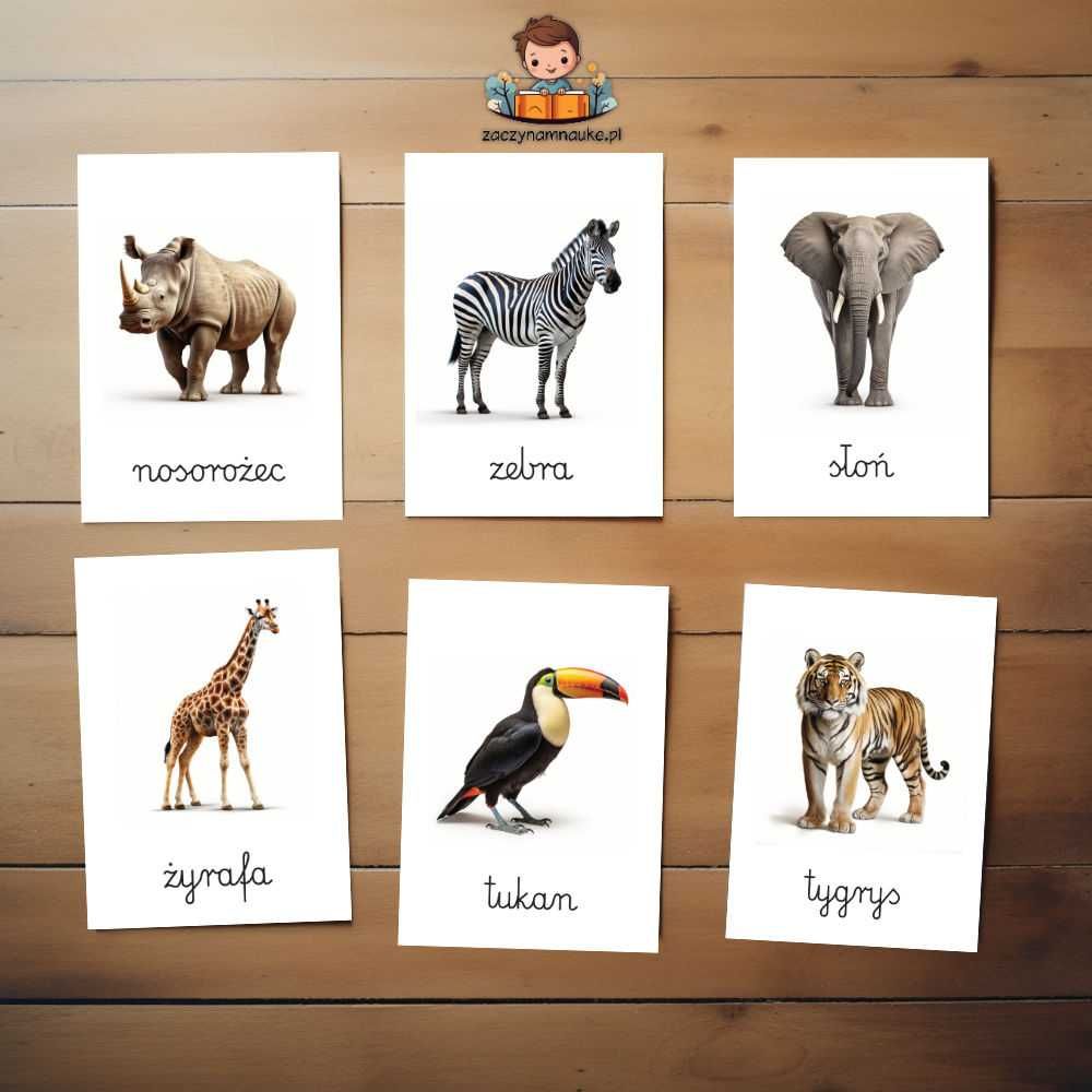 Karty Obrazkowe Zwierzęta w ZOO Plansze Edukacyjne Montessori DO DRUKU
