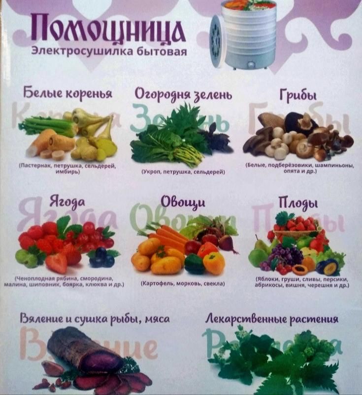 Сушка для овочів та фруктів Помічниця 7 (лоток для пастили в подарунок