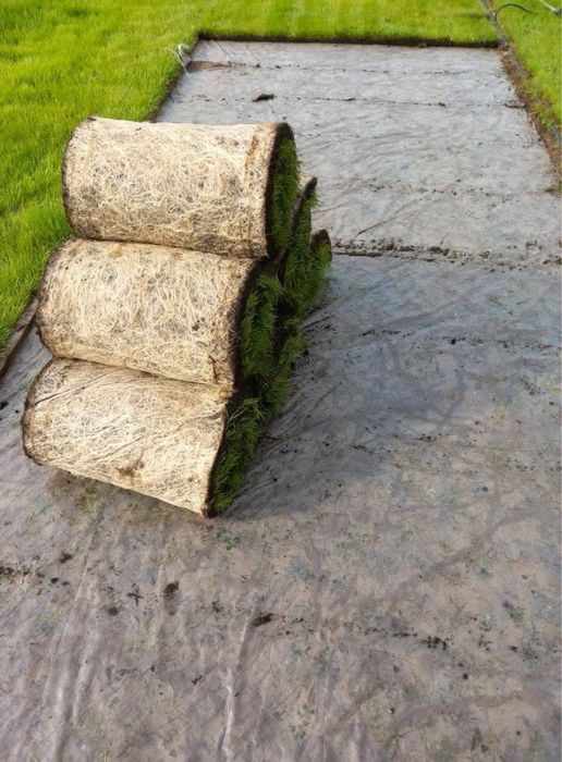 Trawa z rolki+ zakladanie