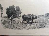 A Lavoura. Desenho de Ernesto Condeixa...Litografia do século XIX