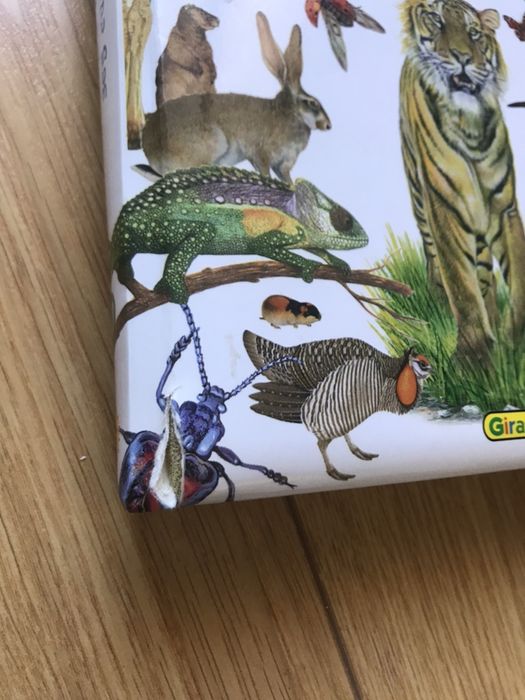 Livro “365 Curiosidades de Animais”