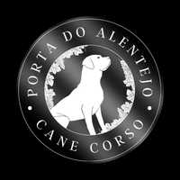 Cane Corso Italiano c/ LOP & AFIXO