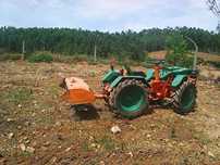 Tractor Pasquali 956-603
