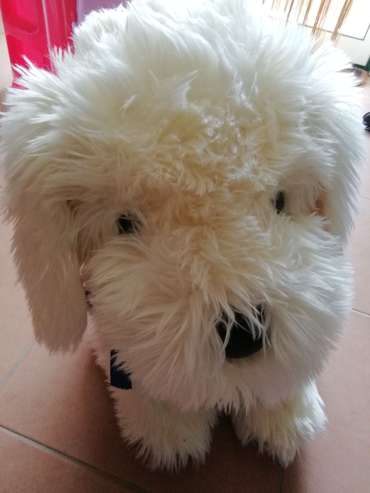 Peluches, cão muito bonito e ursos