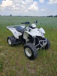 Quad Kymco 250 KXR Maxxer  Homologacja