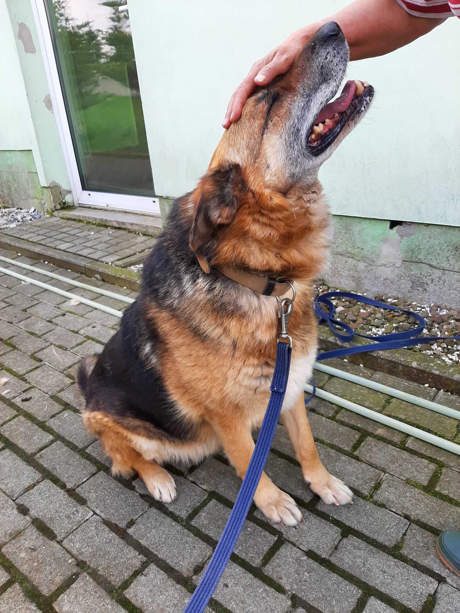 Alfi z Radys - w życiu nie miał łatwo, ale teraz dostał nową szansę!