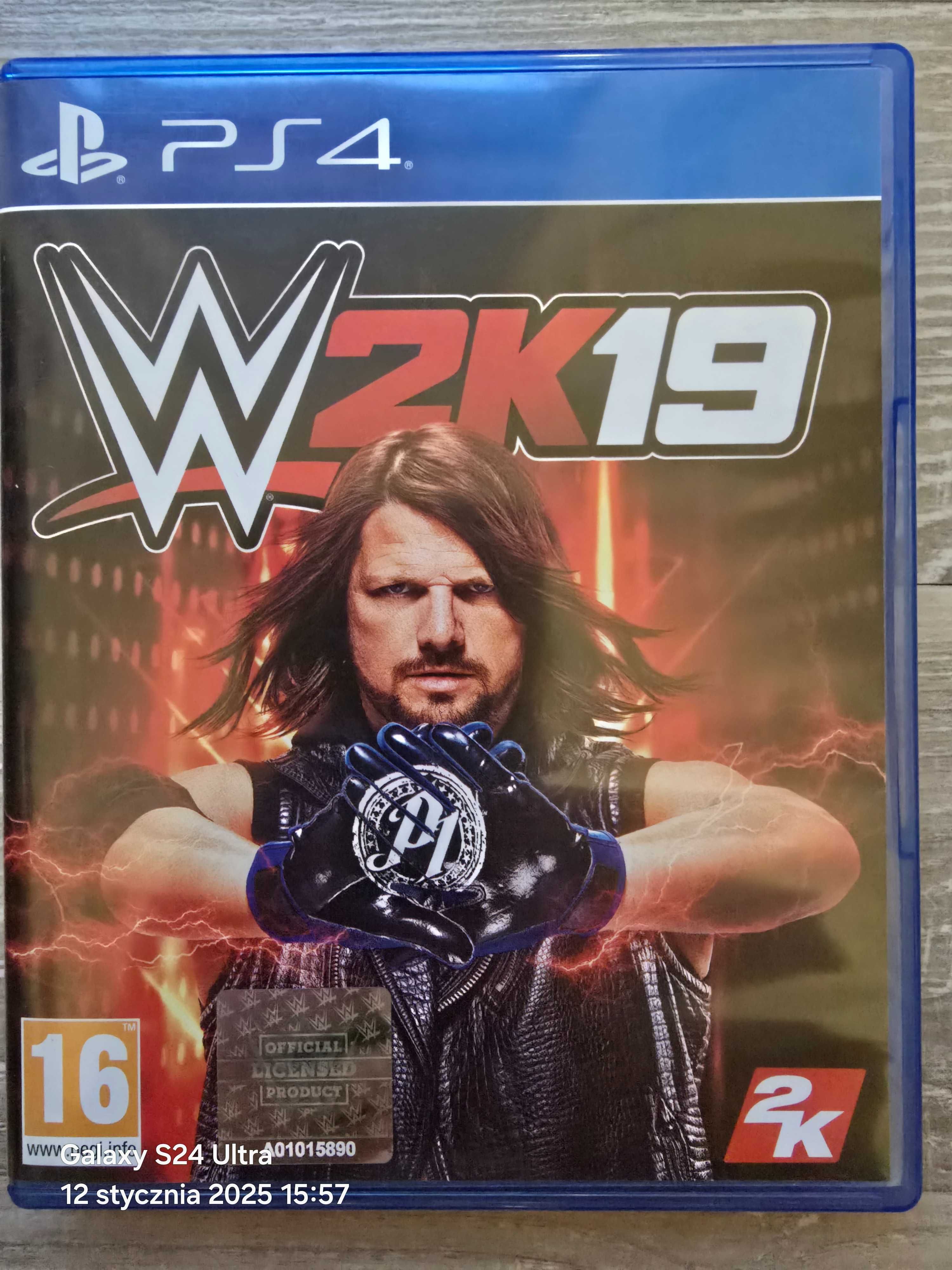 Gra WWE 2k19 PS4/PS5