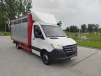 Mercedes Sprinter 514 CDI 516 CDI  519 CDi 513 CDi żywca zwierząt by