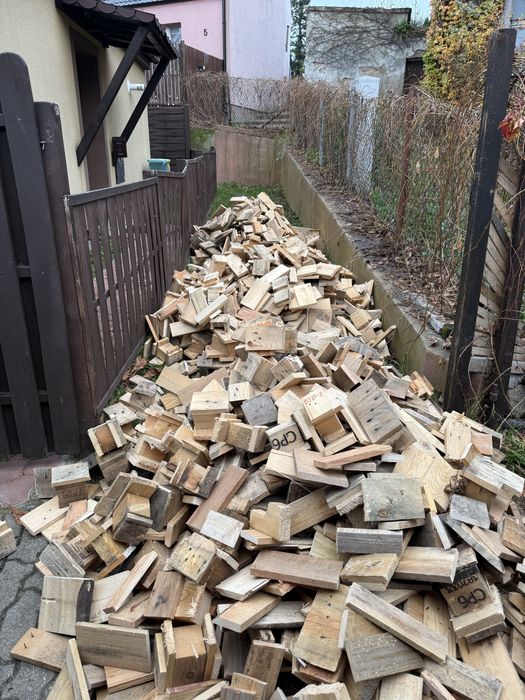 Drzewo Drewno rozpaalkowe mozliwy transport