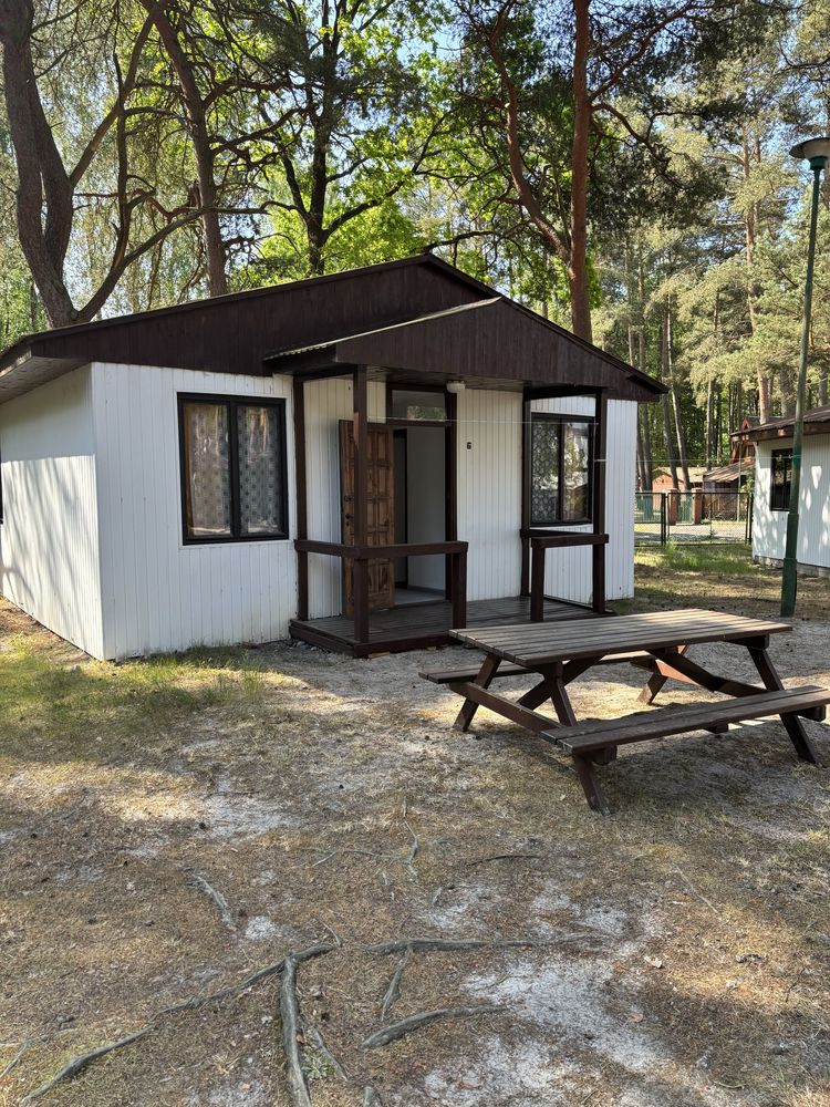 Domki do wynajecia nad morzem wakacje wczasy urlop plaża kwatery pokoj