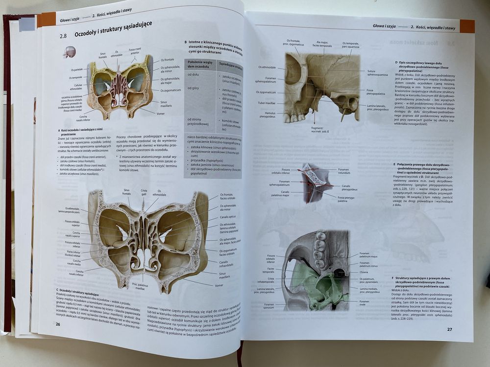 Prometeusz Atls anatomii. Głowa, szyja i neuroanatomia