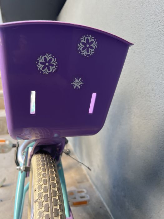 Bicicleta da Frozen