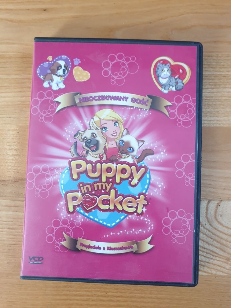 Przyjaciele z Kieszonkowa bajka na DVD