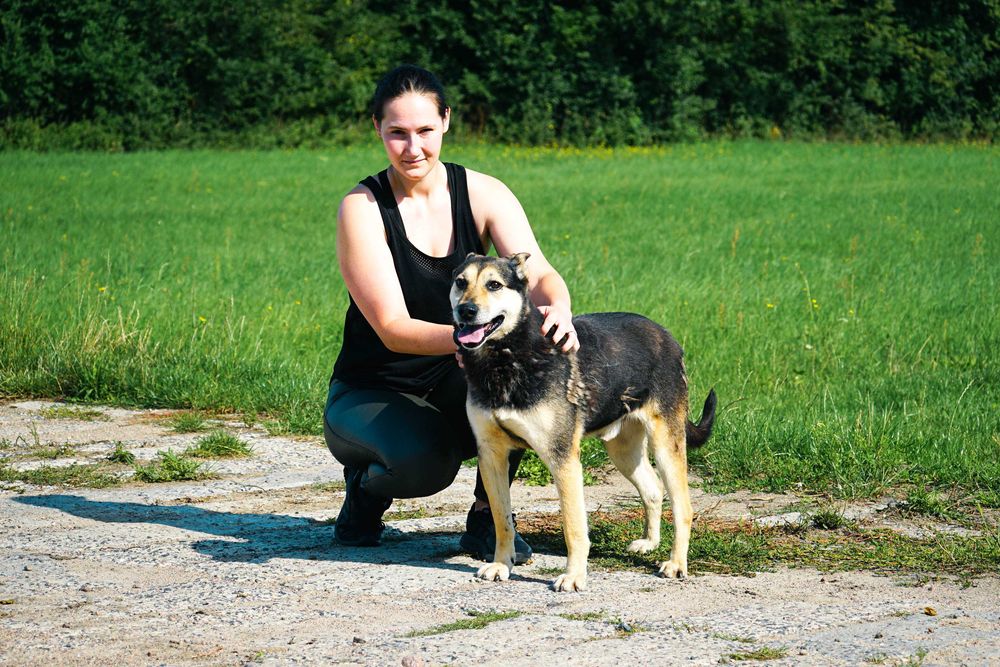 MIMEK - świetny psiak szuka domu