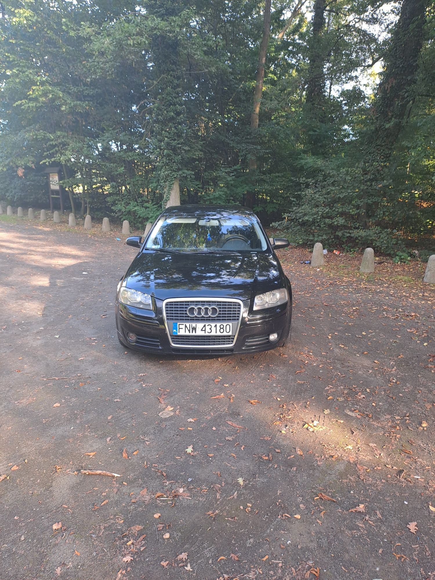 Sprzedam Audi a3.8p.1.9tdi.105km.2005r klimatronik aktualne