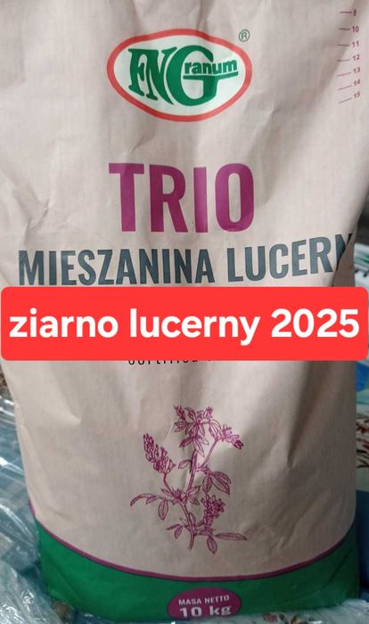 Lucerna TRIO ziarno lucerny Mix Dakota Cigale Eugenia MIX trzy odmiany