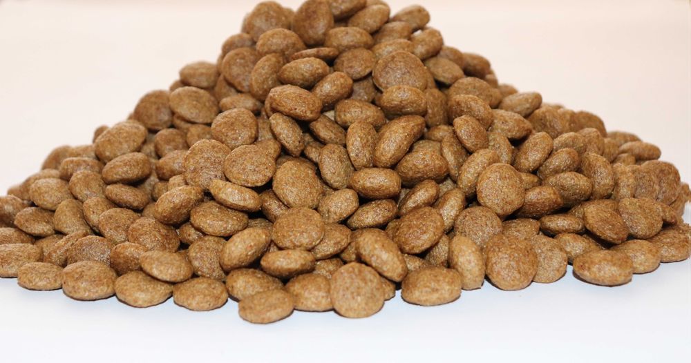 Сухий корм STARDEYL Cats. Курка та риба. 10 кг — 705 грн