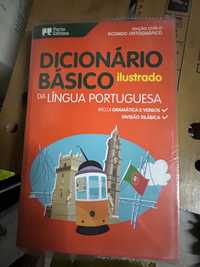Dicionário português