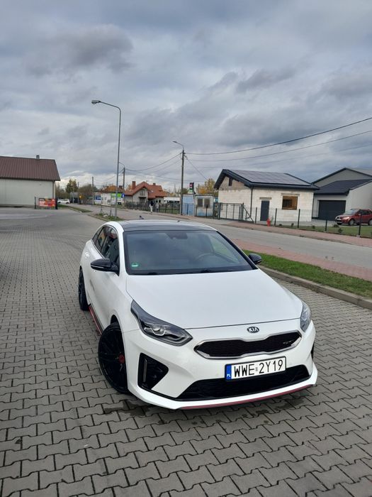 Kia proceed gt line panorama 204 konie